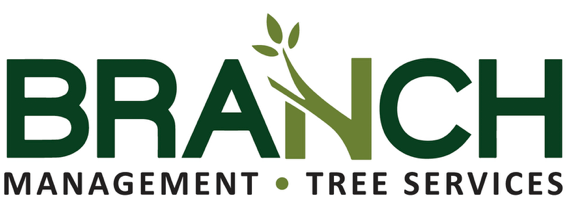 Branch Management 